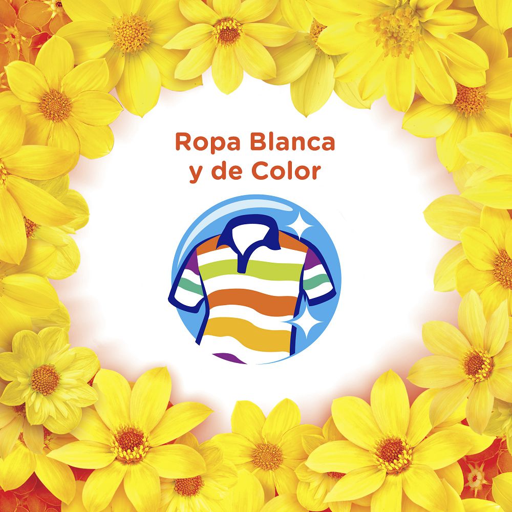 FLORES P MIS AMORES 450 RINDEX 450 gr img #3