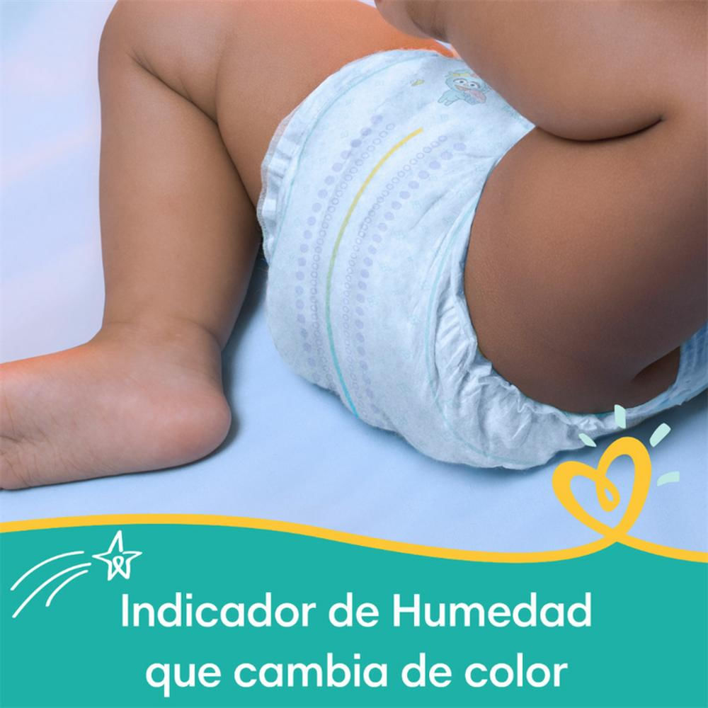 Set De Pañales Pampers Baby Dry Etapa 4 X 92 Unidades img #2