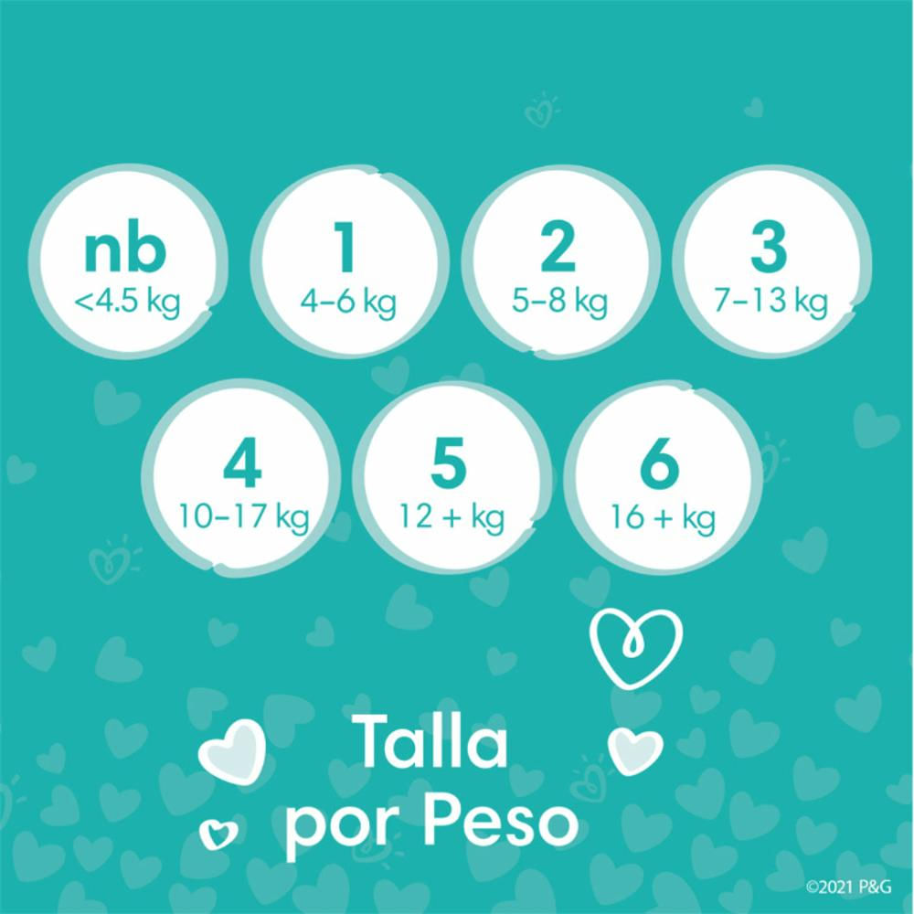 Set De Pañales Pampers Baby Dry Etapa 4 X 92 Unidades img #4