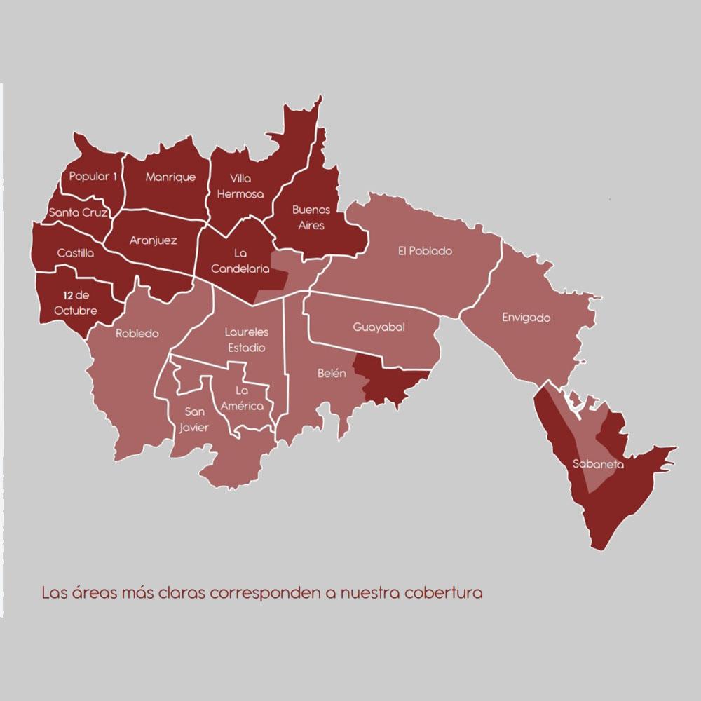 Crema de Champiñones 800 Gr-Para Preparar -Entrega en 1 hora img #3