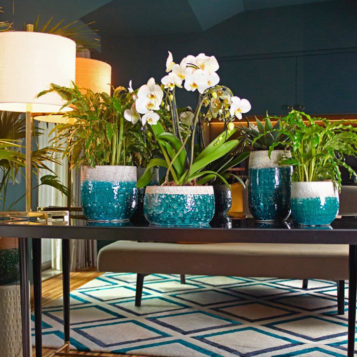 Matera Cermica Iris 22 cm Verde img #3