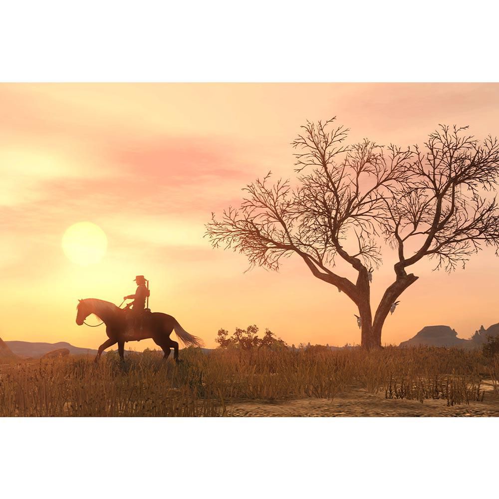 PS4 Red Dead Redemption Latam PLAYSTATION SIN REF img #8