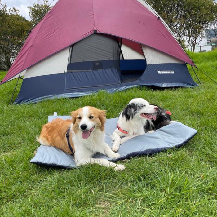 Mat multiusos azul para perros Cuore pets talla M img #4