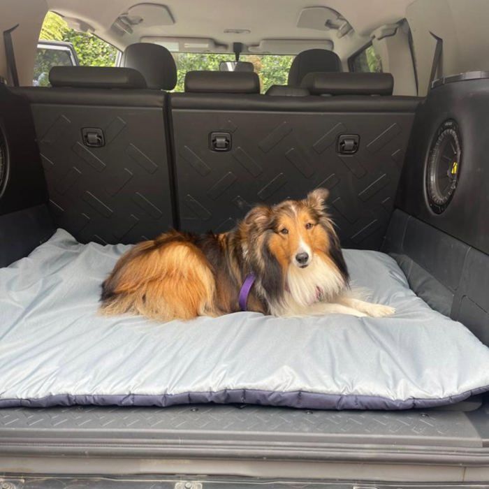 Mat multiusos azul para perros Cuore pets talla M img #5