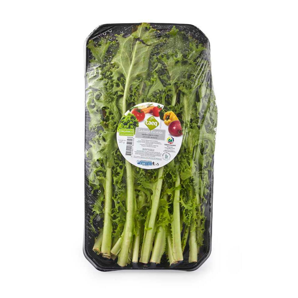 LECHUGA ESCAROLA TAEQ 1 und img #1