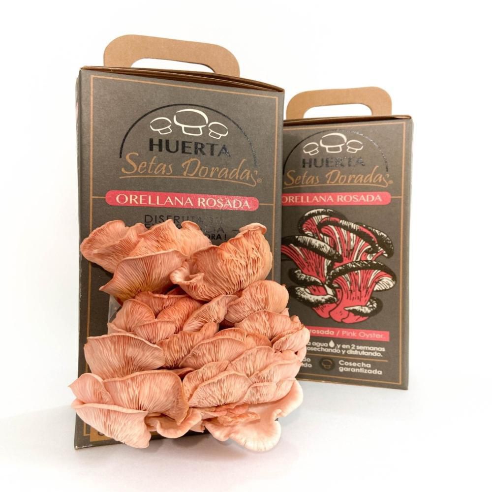Kit Cultivo Orellana Rosada  600 gr img #1