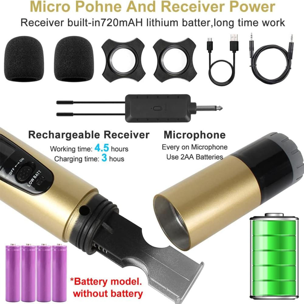 Micrófono Inalámbrico Doble Profesional Wg200 Con Receptor Dorado img #5