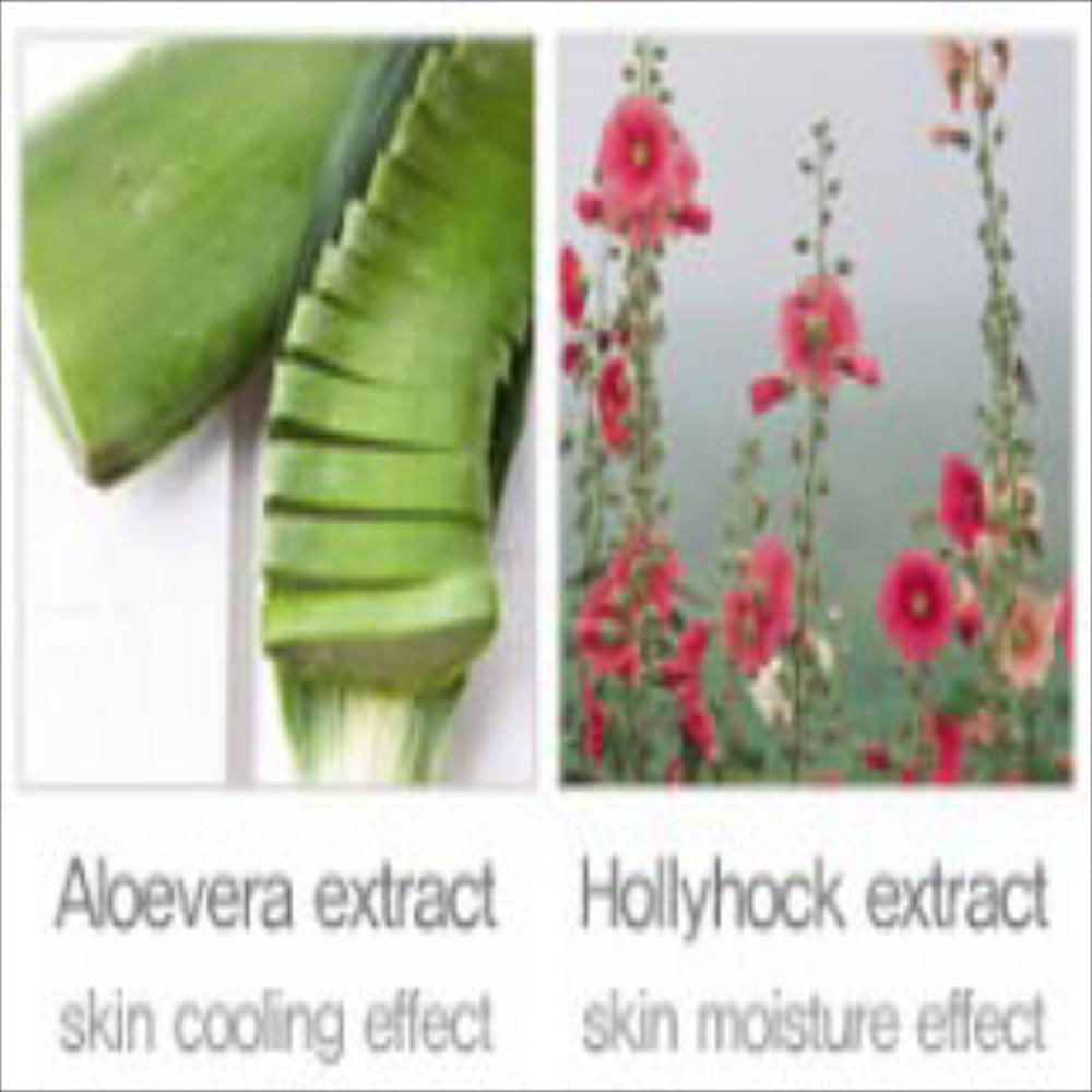 Ampolla Eficaz Anti Edad Tezblanc Componentes Naturales img #3