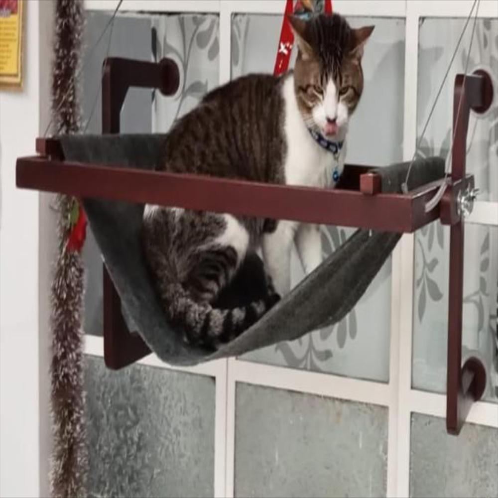 Hamaca Gato Ventana 72 Hgv img #2