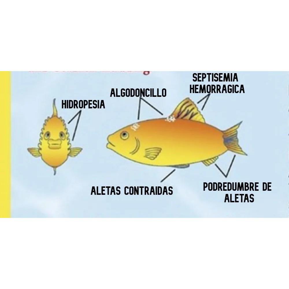 Tetra Fungus Guard Hongos Bacterias Hidropesia Podredumbre img #2