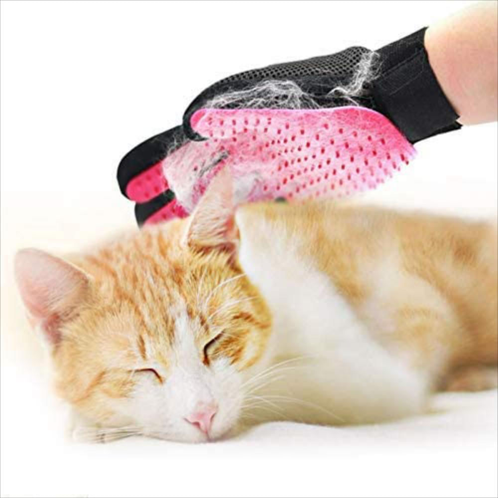 Kit De Herramientas De Guantes De Aseo Con Cepillo. img #5