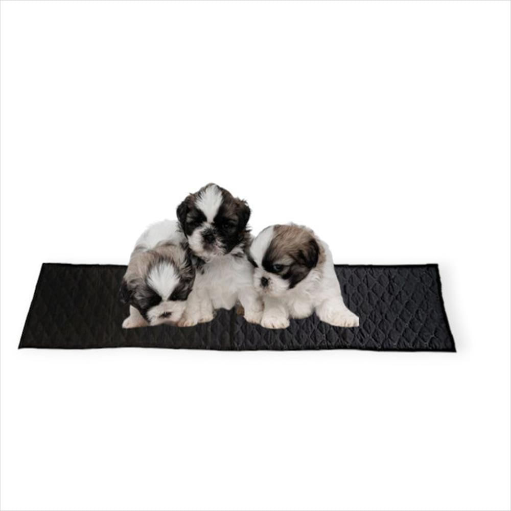 Almohadilla Entrenamiento Lavable Mascota Doble Faz Especial 1,50 X 0,25 Mt 100% Poliéster img #1