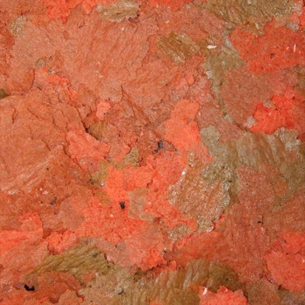 Omega One Cichlid Flakes 28 Gr img #4