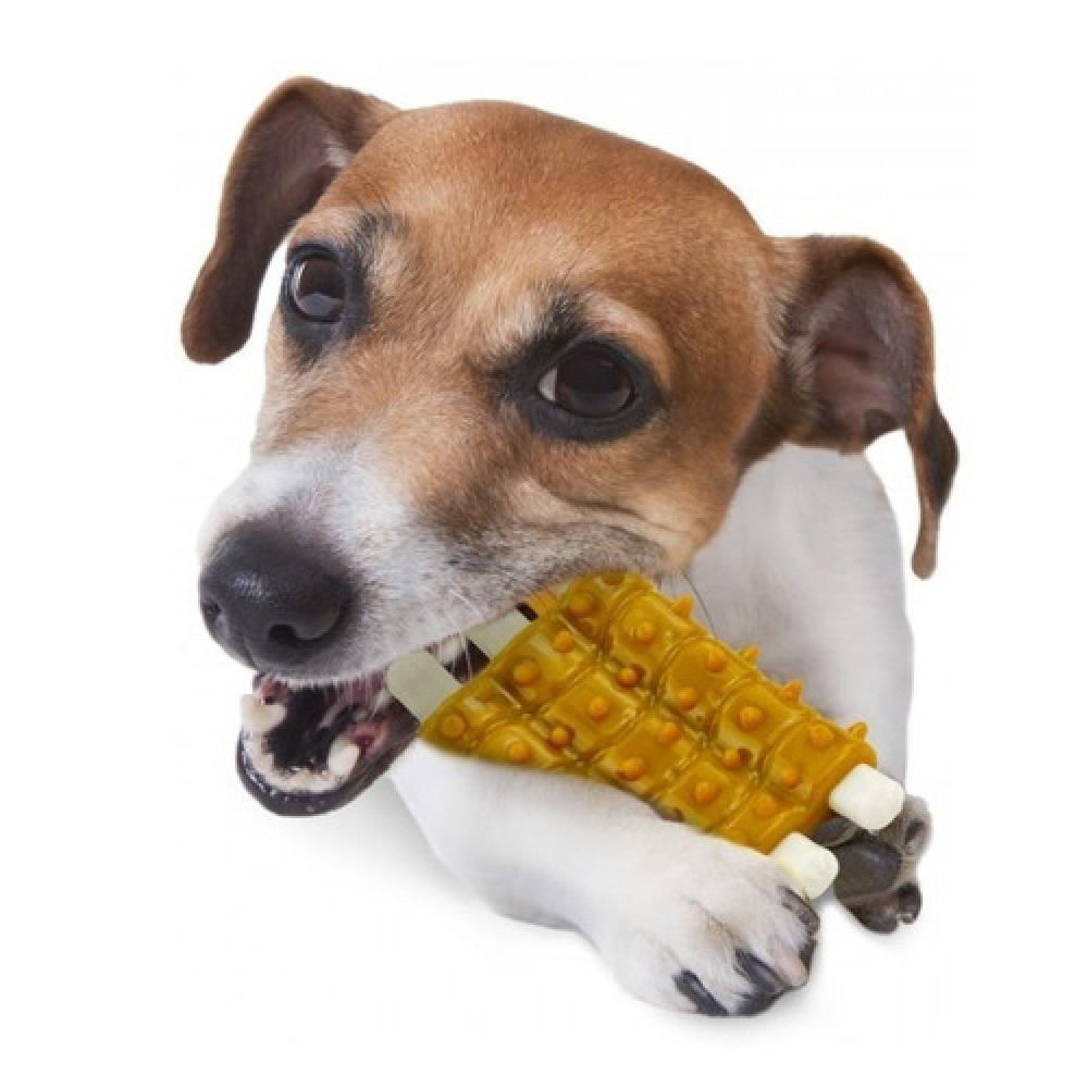 Juguete Plastico Para Perro Costilla img #3