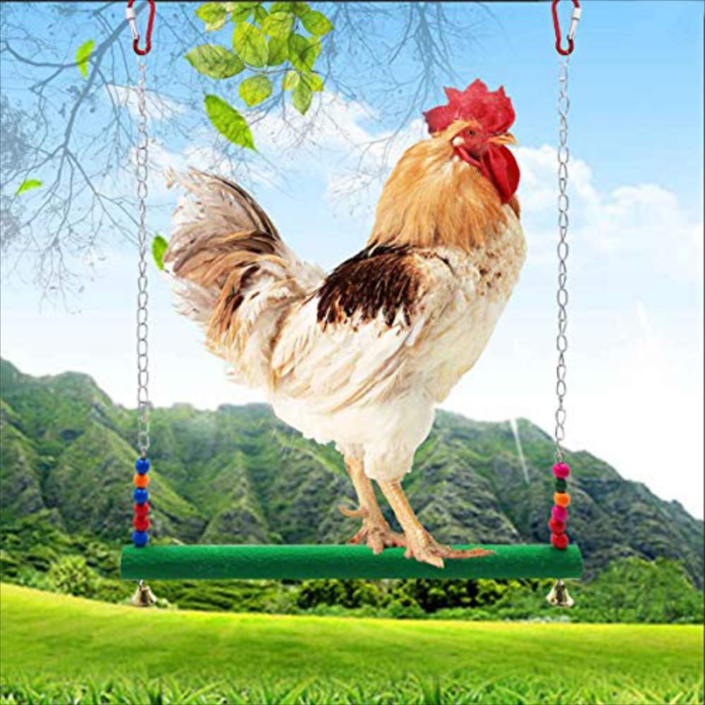 Columpio Para Pollos Y Gallinas img #5