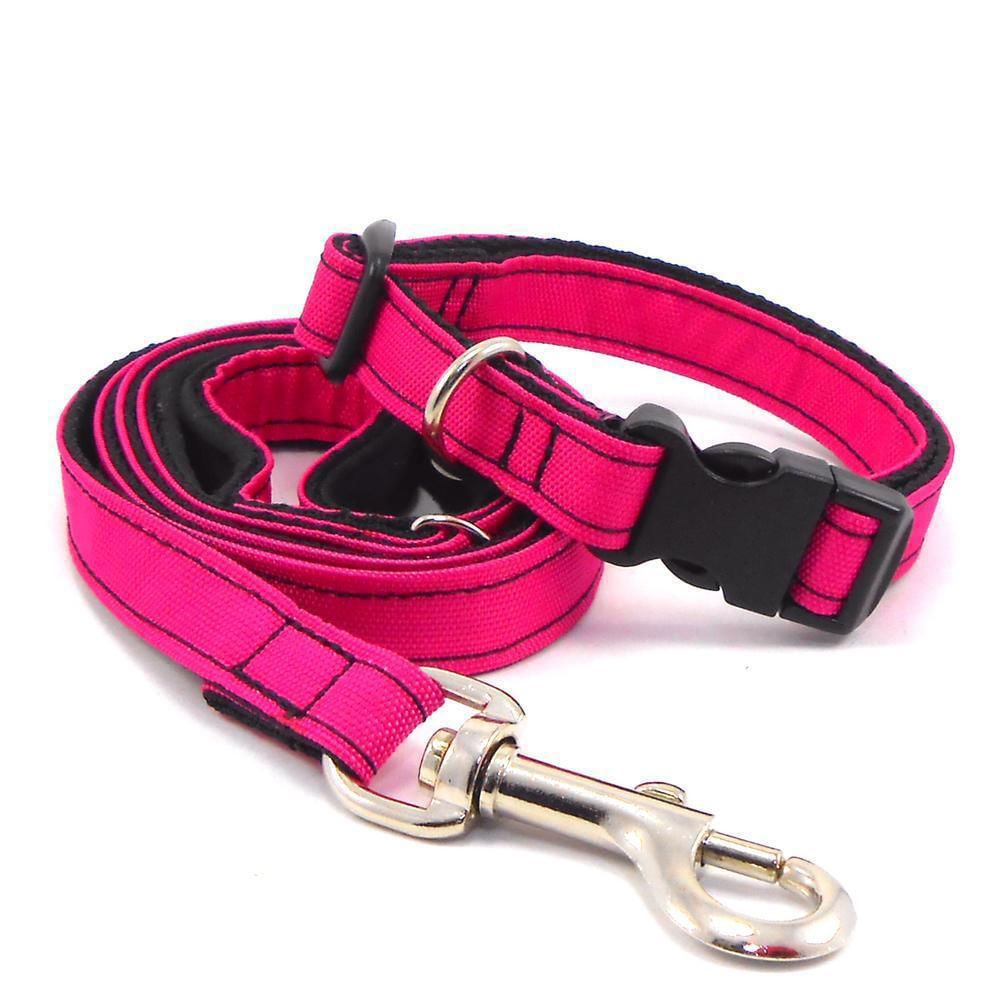 Lazo Para Perro Xhaira Talla S Color Purpura img #2