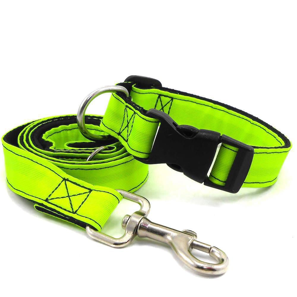 Lazo Para Perro Xhaira Talla M Color Verde img #2