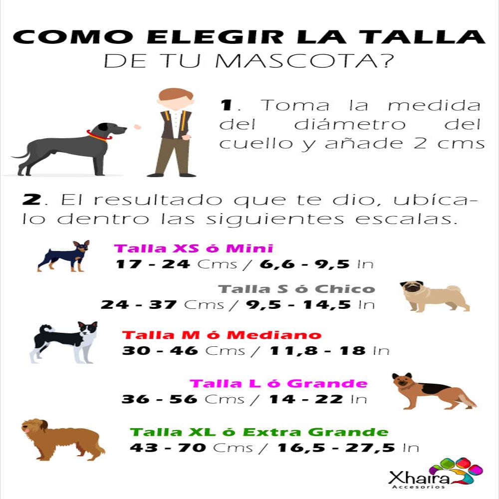 Lazo Para Perro Xhaira Talla S Diseño Surf img #3