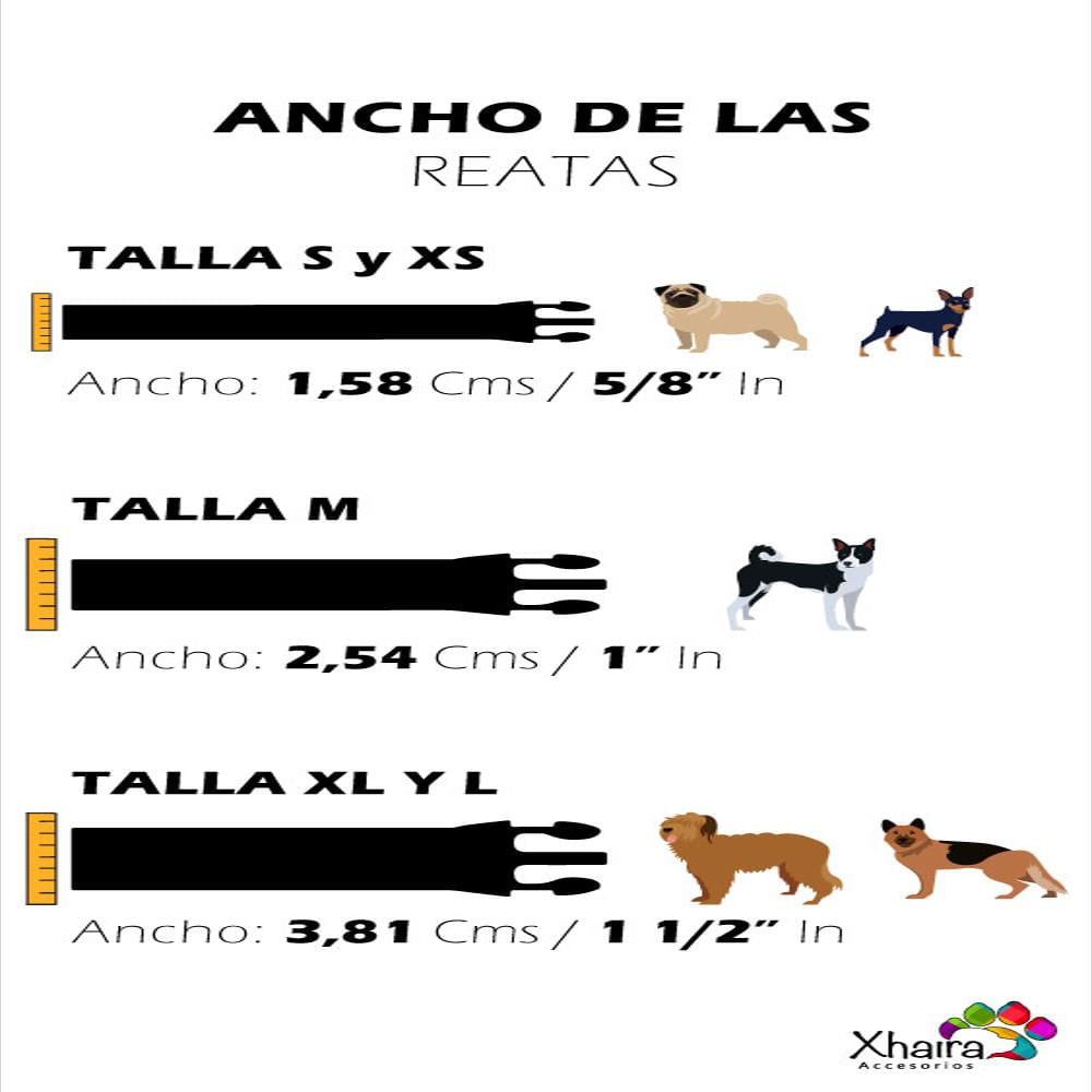 Lazo Para Perro Xhaira Talla S Color Azul img #4