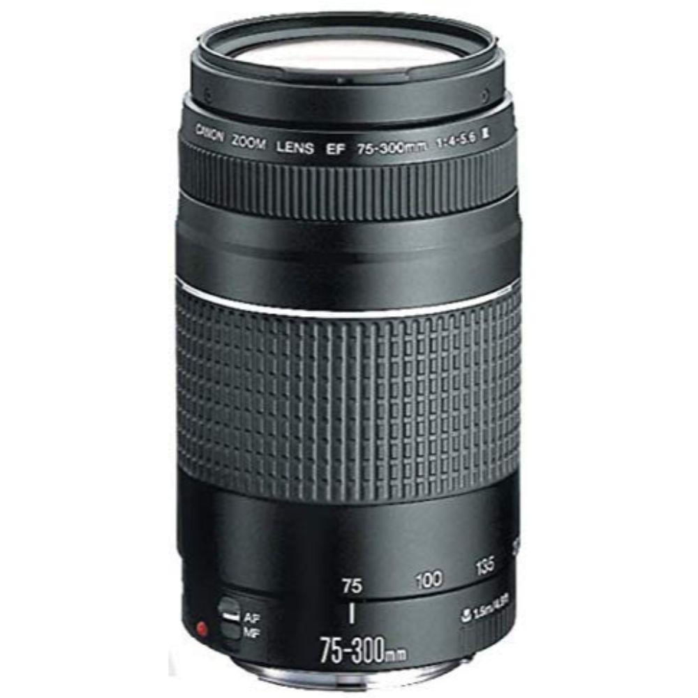 Cámara Canon Eos Rebel T7i Con Lentes Y Accesorios img #3