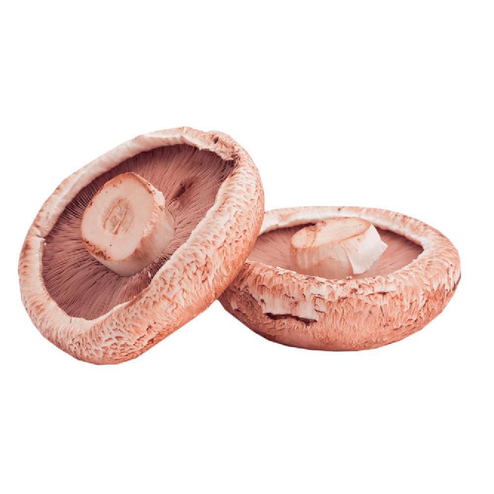 CHAMPINON PORTOBELLO ENTERO  350  gr img #3