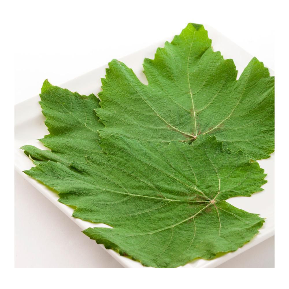 HOJAS DE PARRA  150  gr img #2