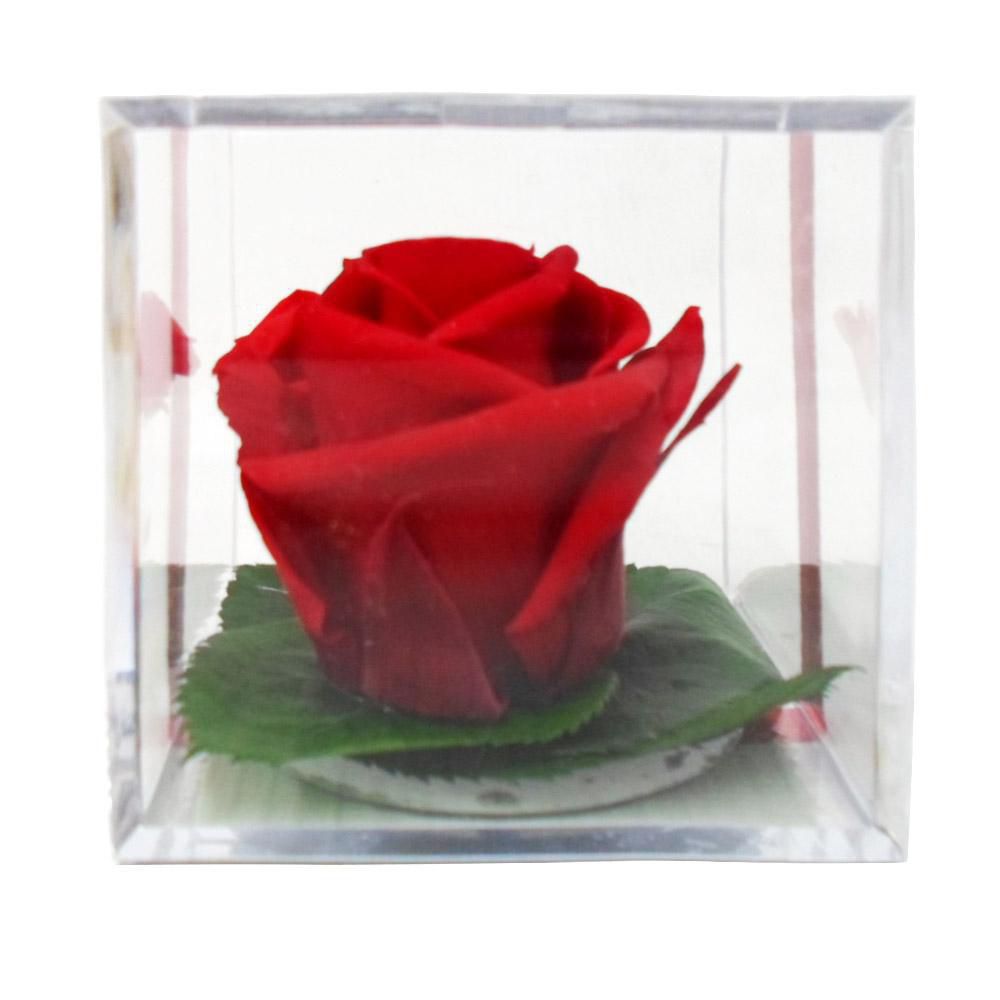 ROSA PRESERVADA EN CUBO  SIN REFER img #1