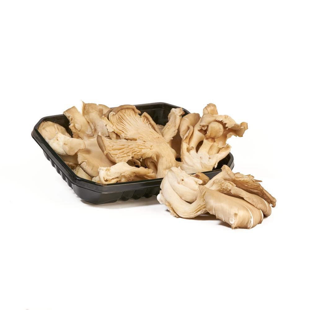 CHAMPINON SHITAKE B.E.  250  gr img #1