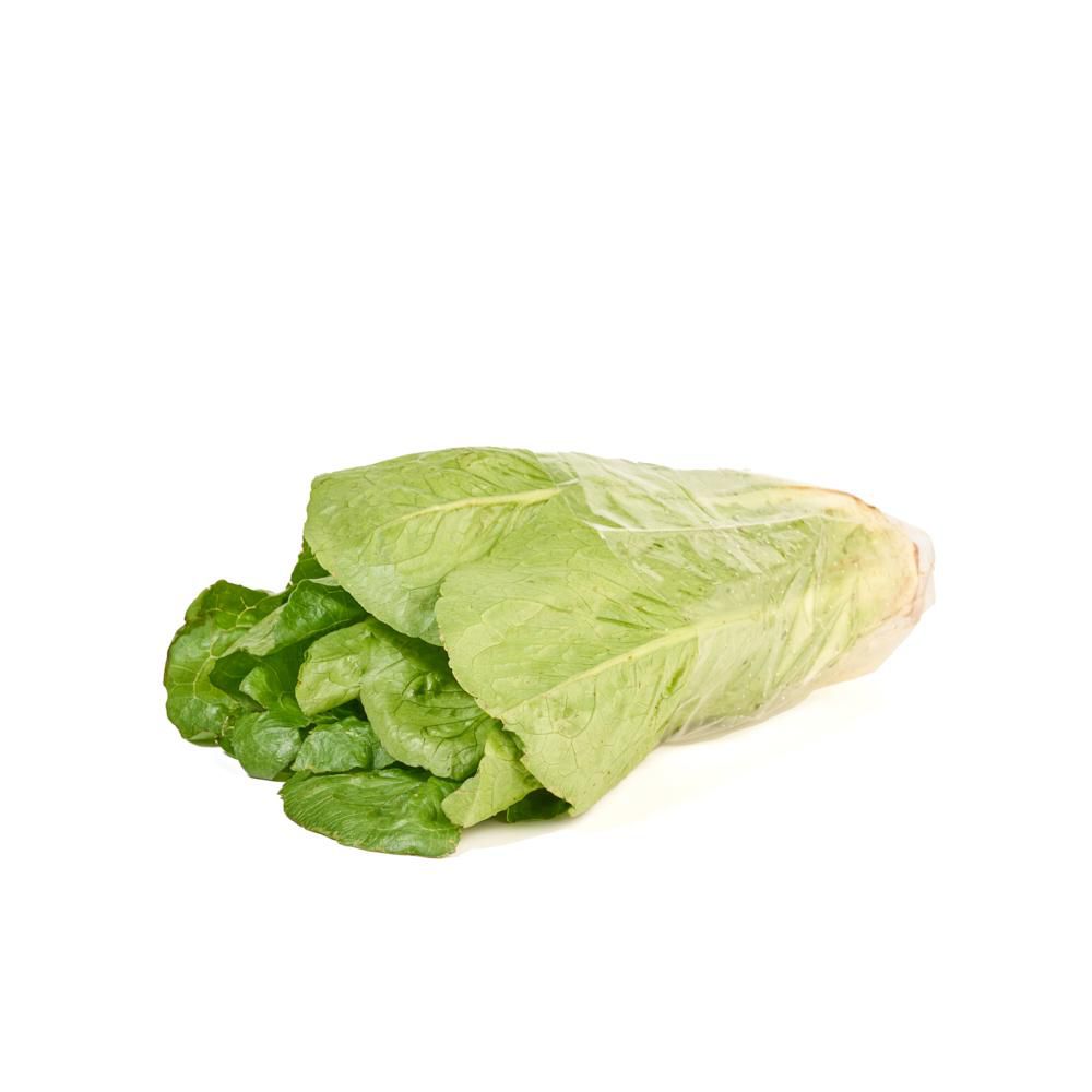 LECHUGA ROMANA ORGANICA 200 gr img #1