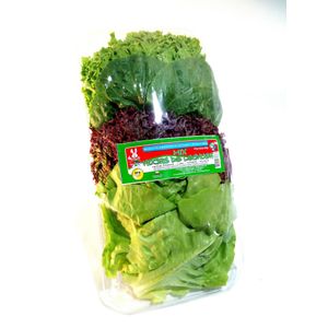 MIX HOJAS LECHUGA HIDROPONICAS 150 gr