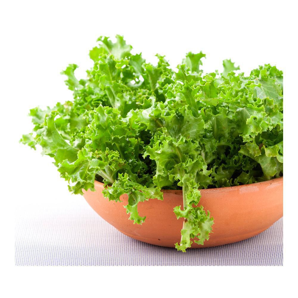 LECHUGA ESCAROLA BOLSA  130  gr img #2