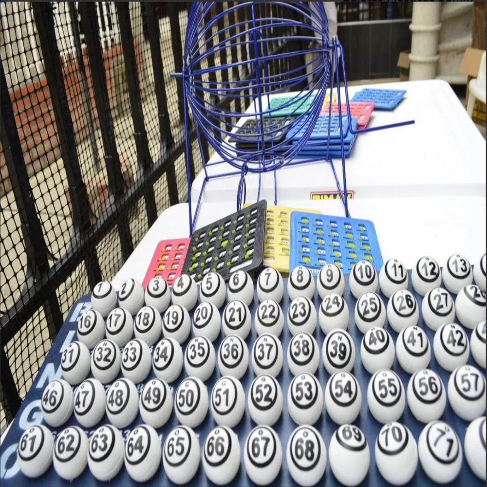 Juego De Bingo Profesional 60 Tablas img #5