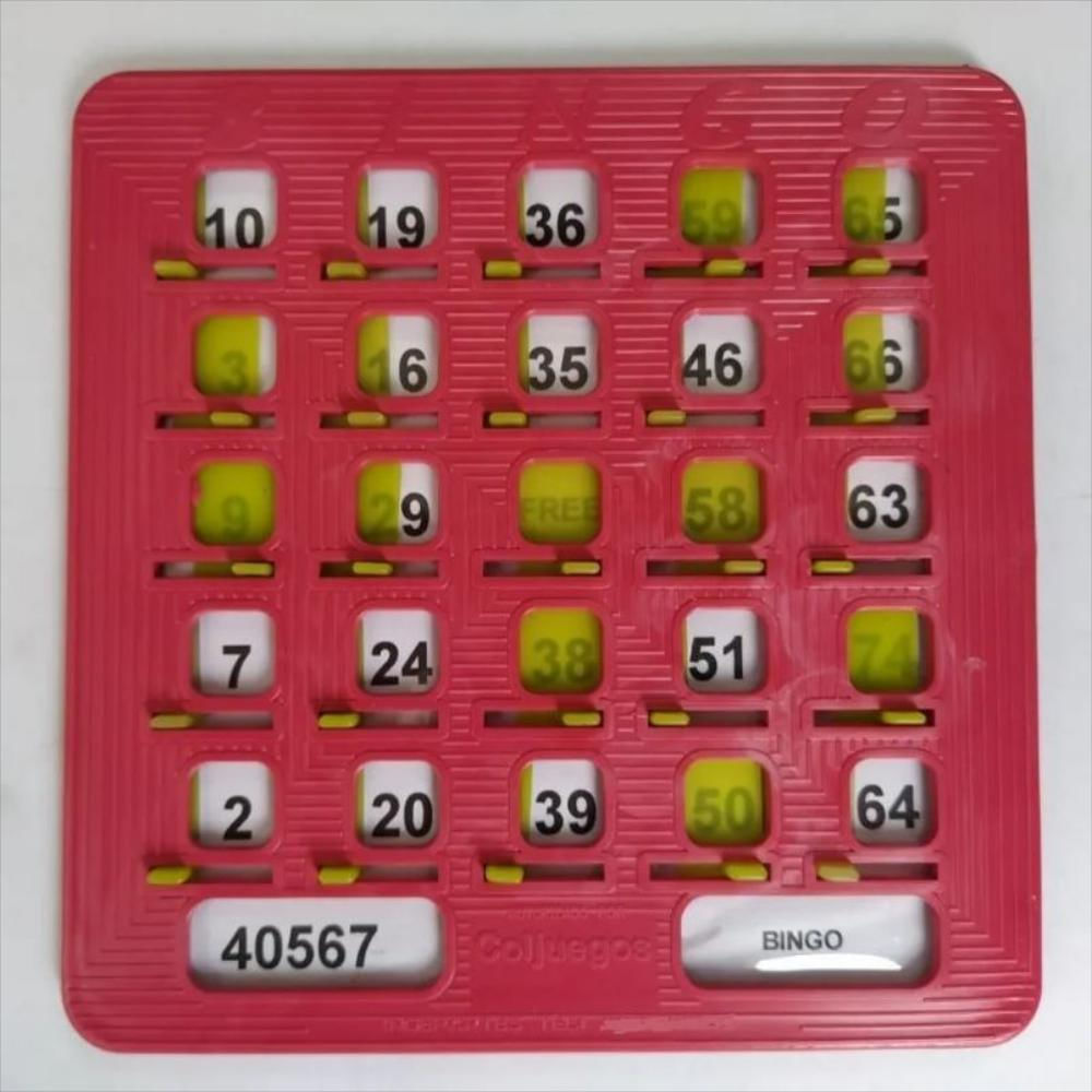 70 Tablas Plásticas Para Bingo Profesional Colores Surtidos img #4