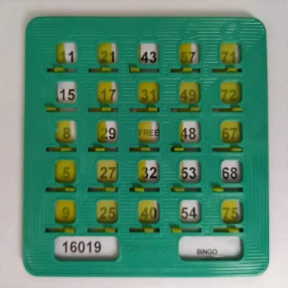 70 Tablas Plásticas Para Bingo Profesional Colores Surtidos img #5