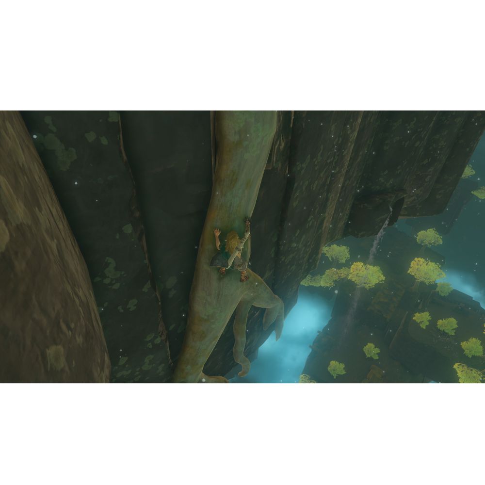 Videojuego The Legend Zelda Tears of Kingdom Nintendo Switch HACPAXN7A img #2