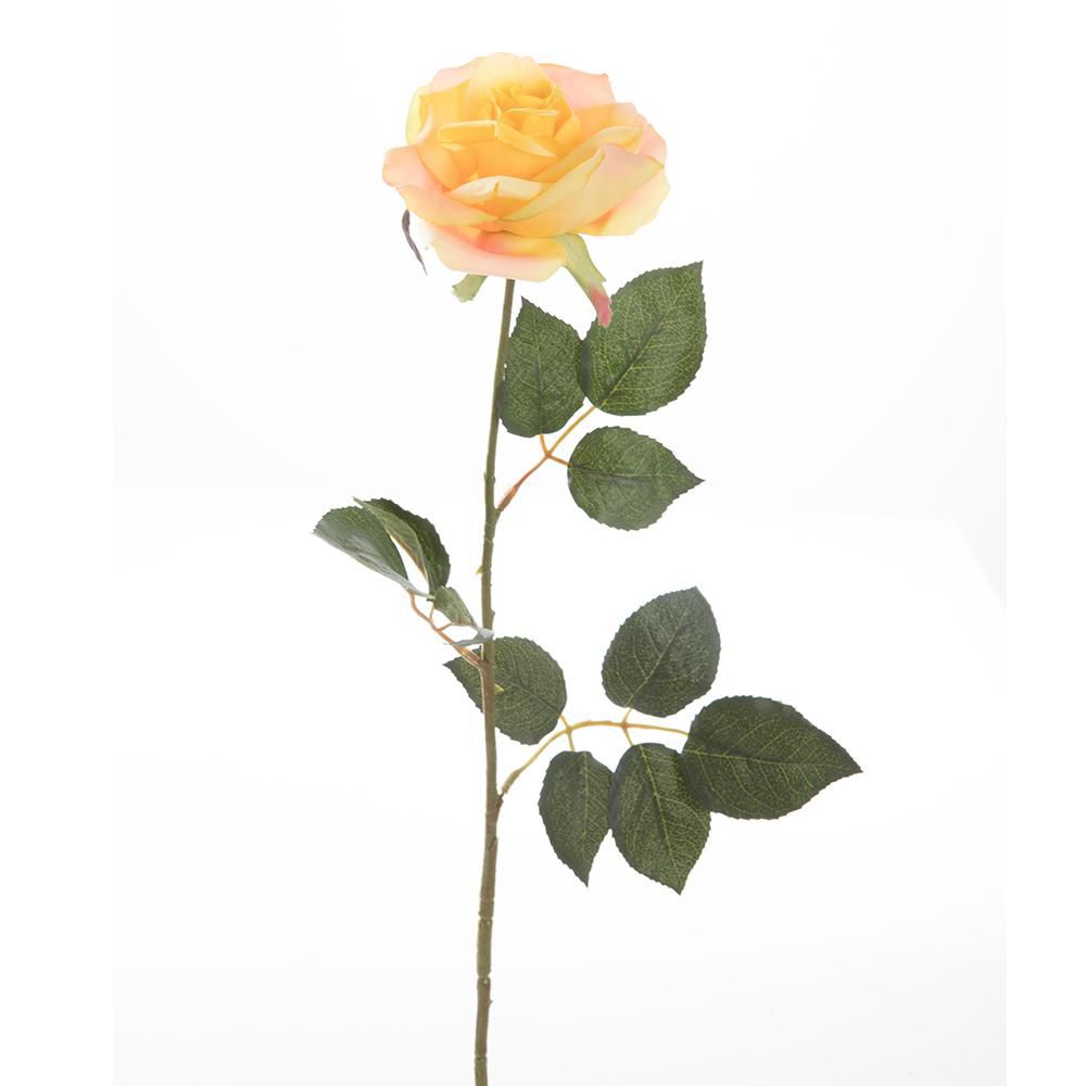 ROSA FINLANDEK PS016526PT img #1