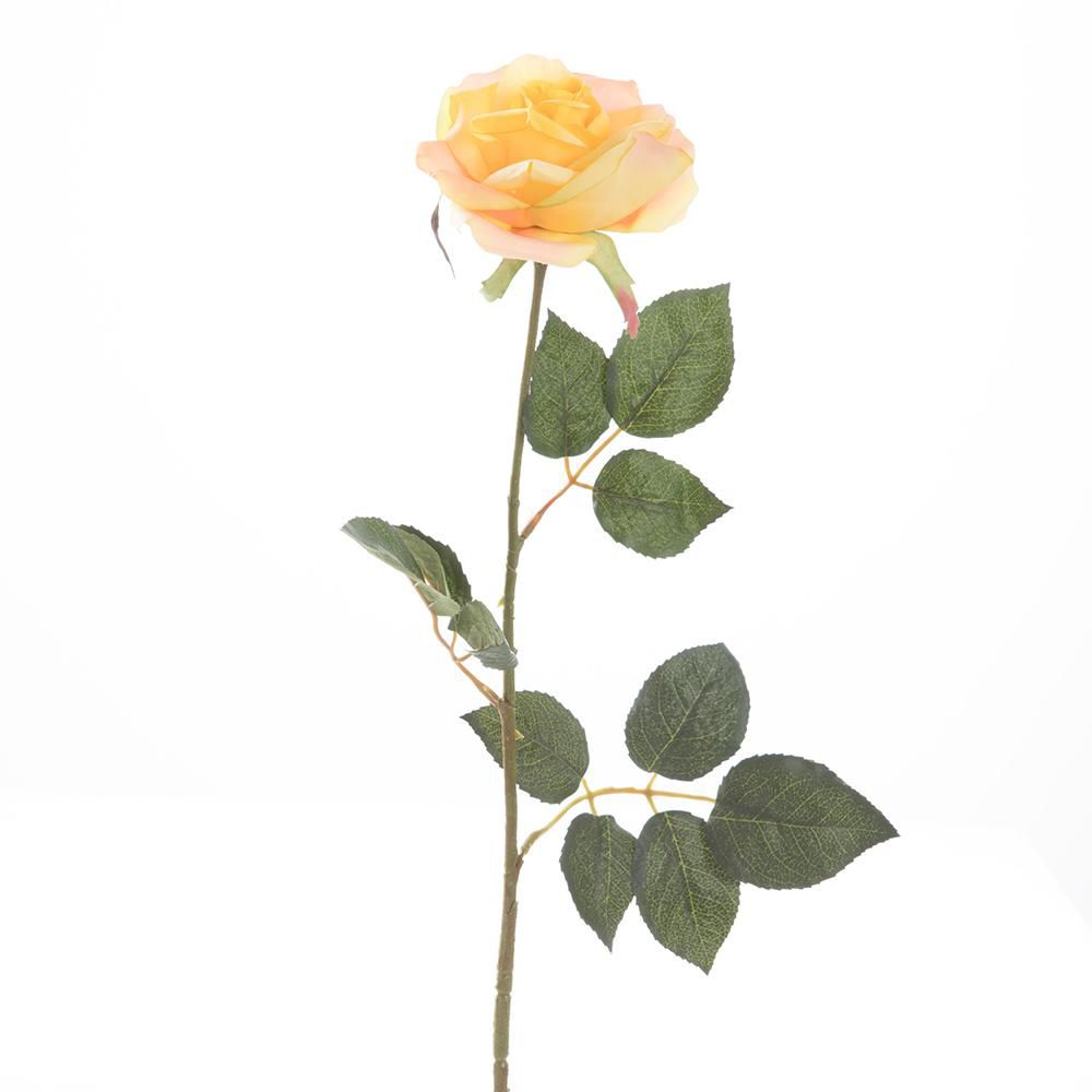 ROSA FINLANDEK PS016526PT img #3