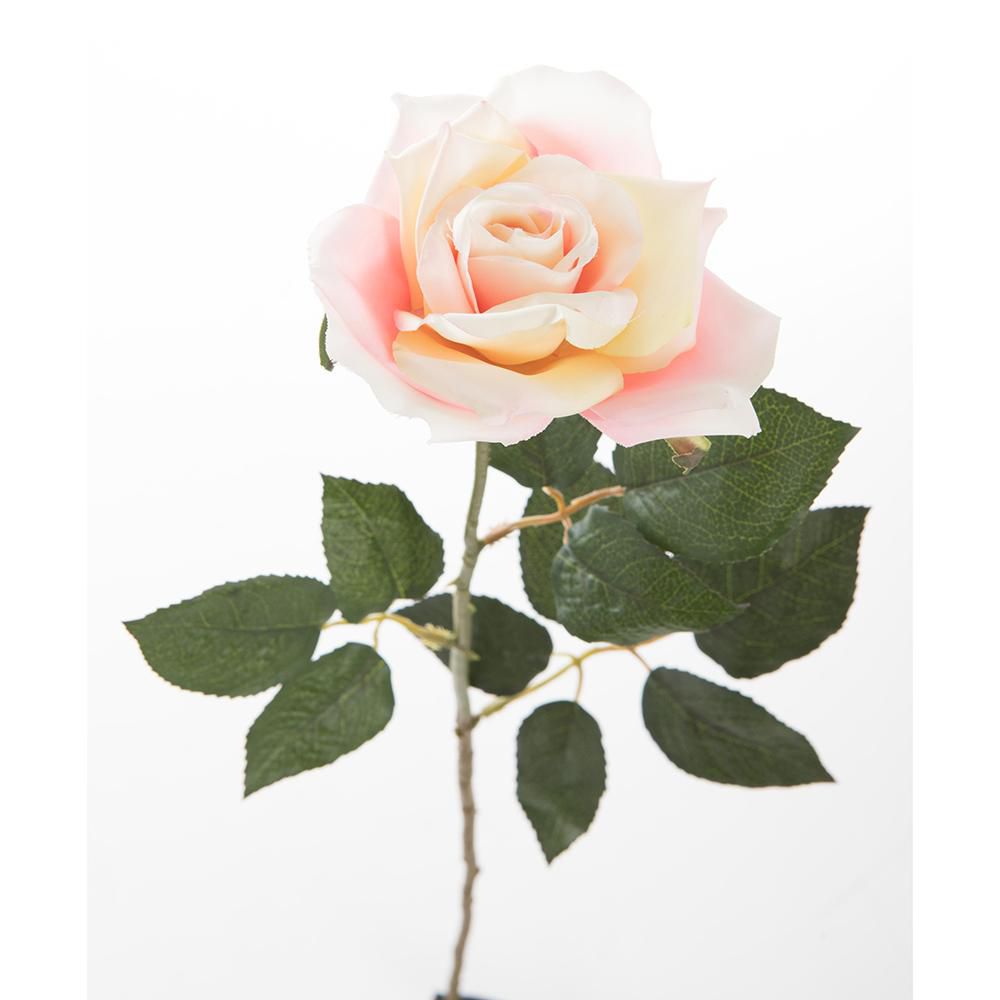ROSA FINLANDEK PS016526PT img #5