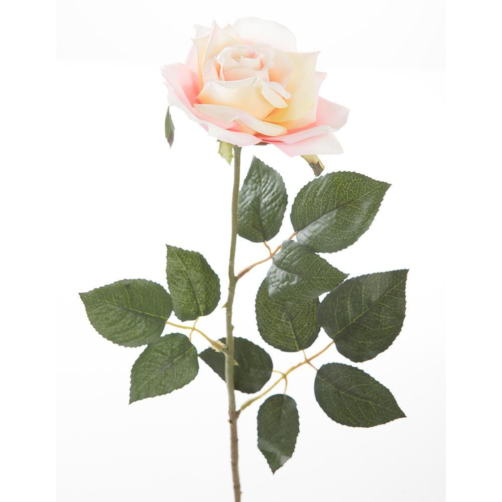 ROSA FINLANDEK PS016526PT img #6