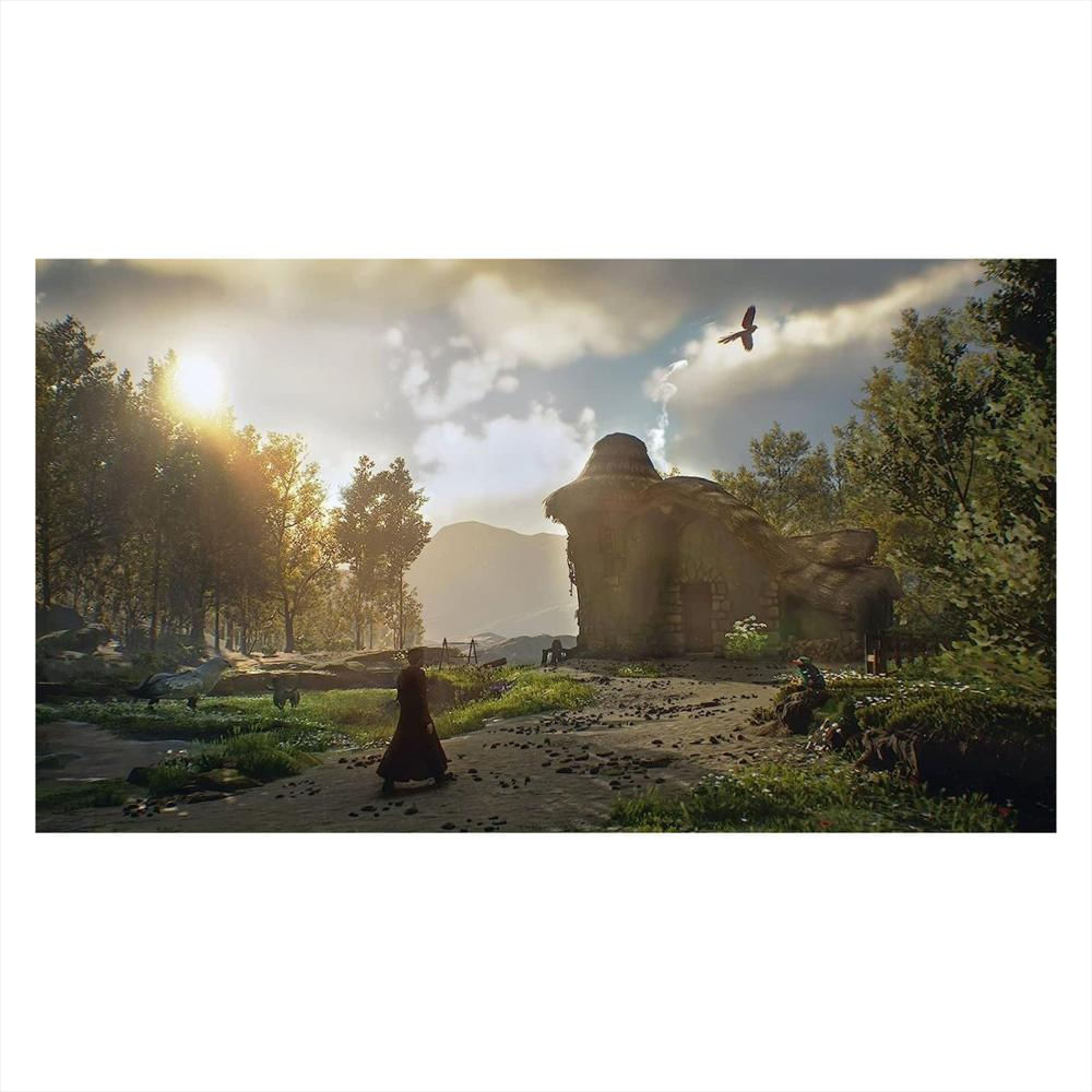 Hogwarts Legacy Ps5 Fisico img #3