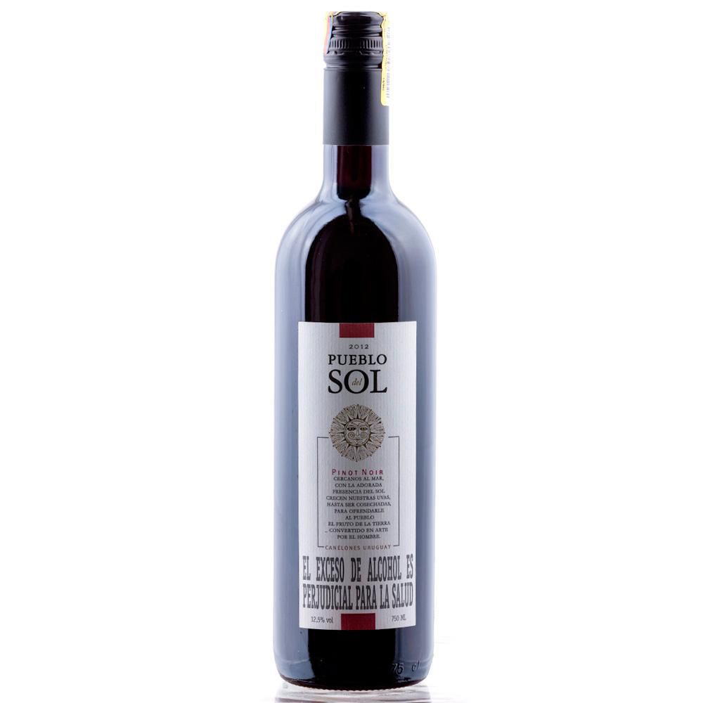 Vino PUEBLO DEL SOL MARCA EXCLUSIVA  Pinot Noi (750  ml) img #1