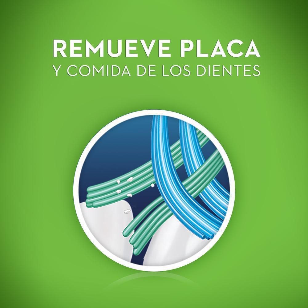 cepillo dental PRO  (1  und) img #3