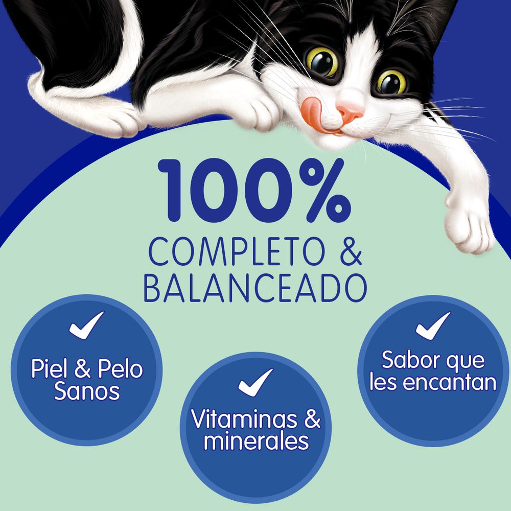 Alimento Gato Atum FELIX 85  gr img #4