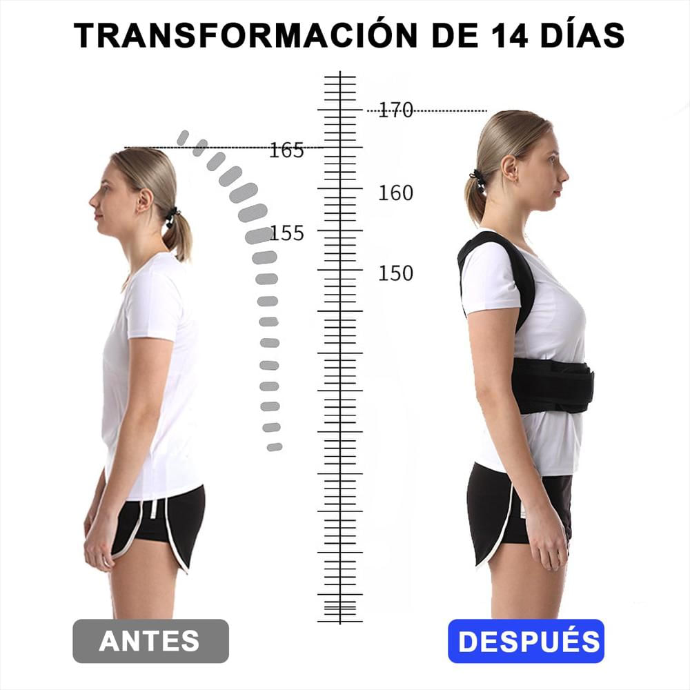 Corrector De Espalda Talla M, Mejora Tu Postura Naturalmente img #2