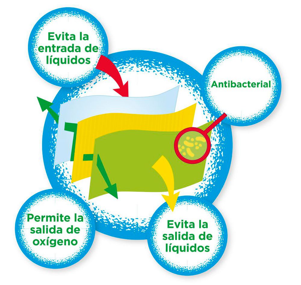 Camiseta Manga Corta Para Niño PLAZA SESAMO  SESF10 img #5