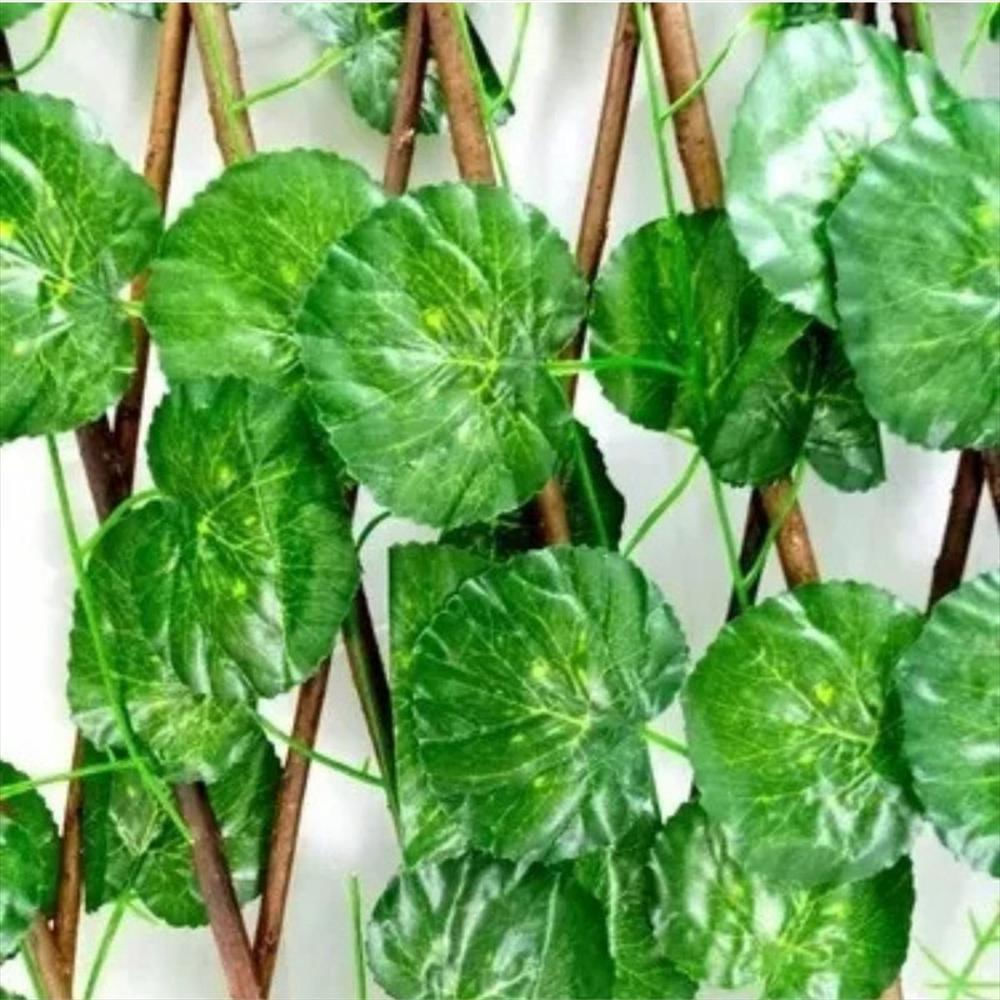 Enredadera Maya Cerca Jardín Expandible 2 Metros 70 Cm img #3