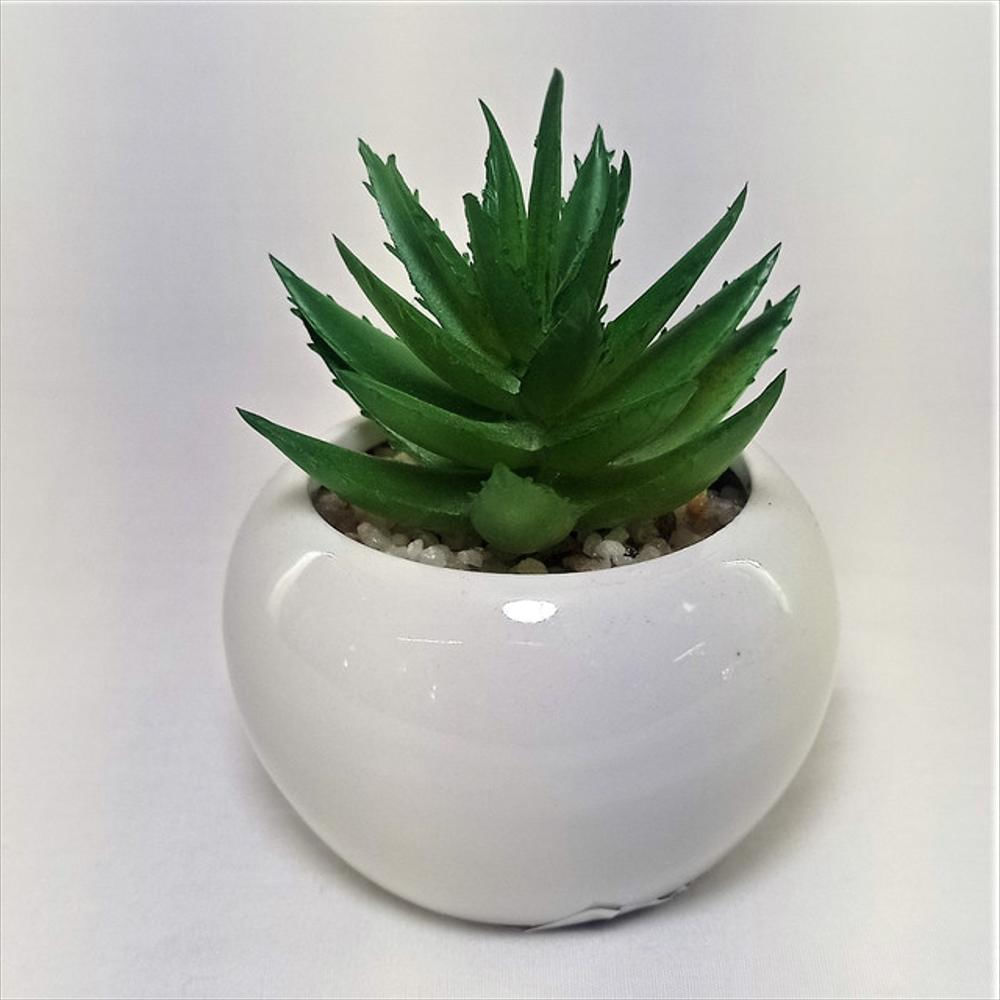 Materita De Ceramica Con Suculenta De Plástico img #2