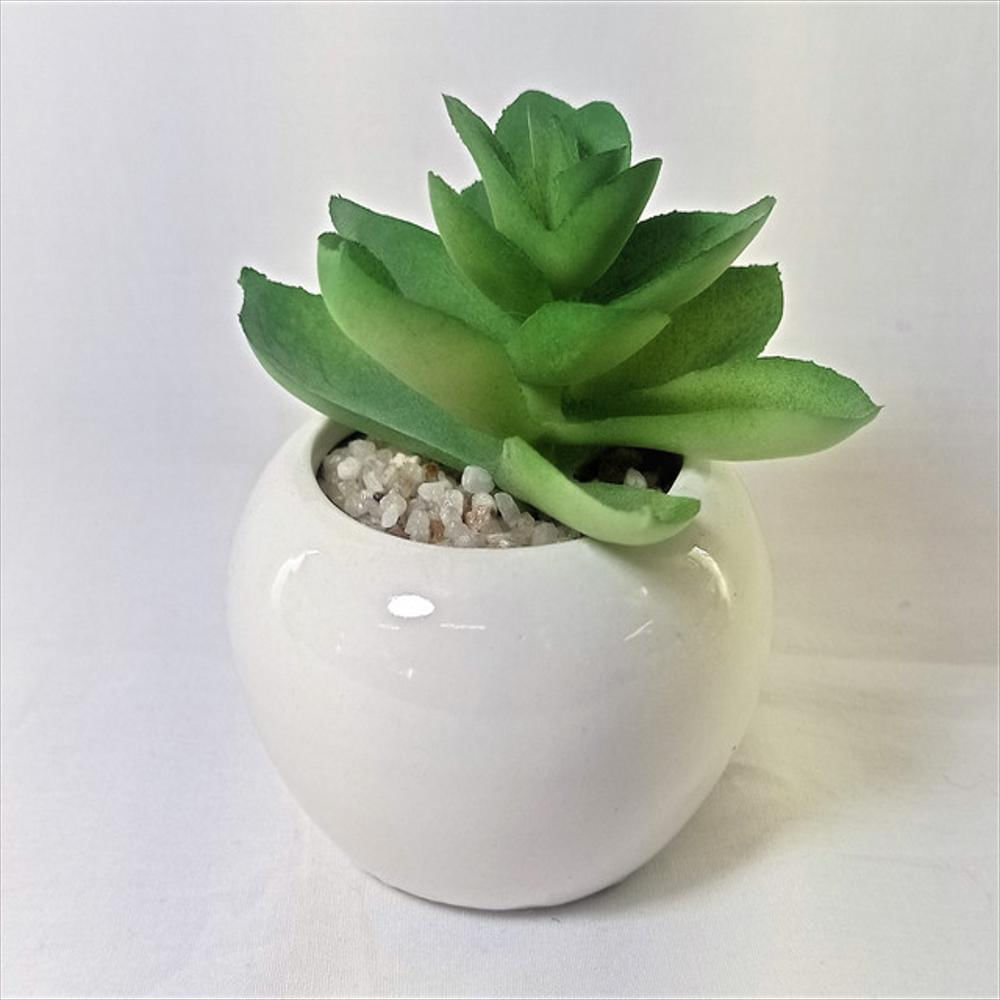 Materita De Ceramica Con Suculenta De Plástico img #3