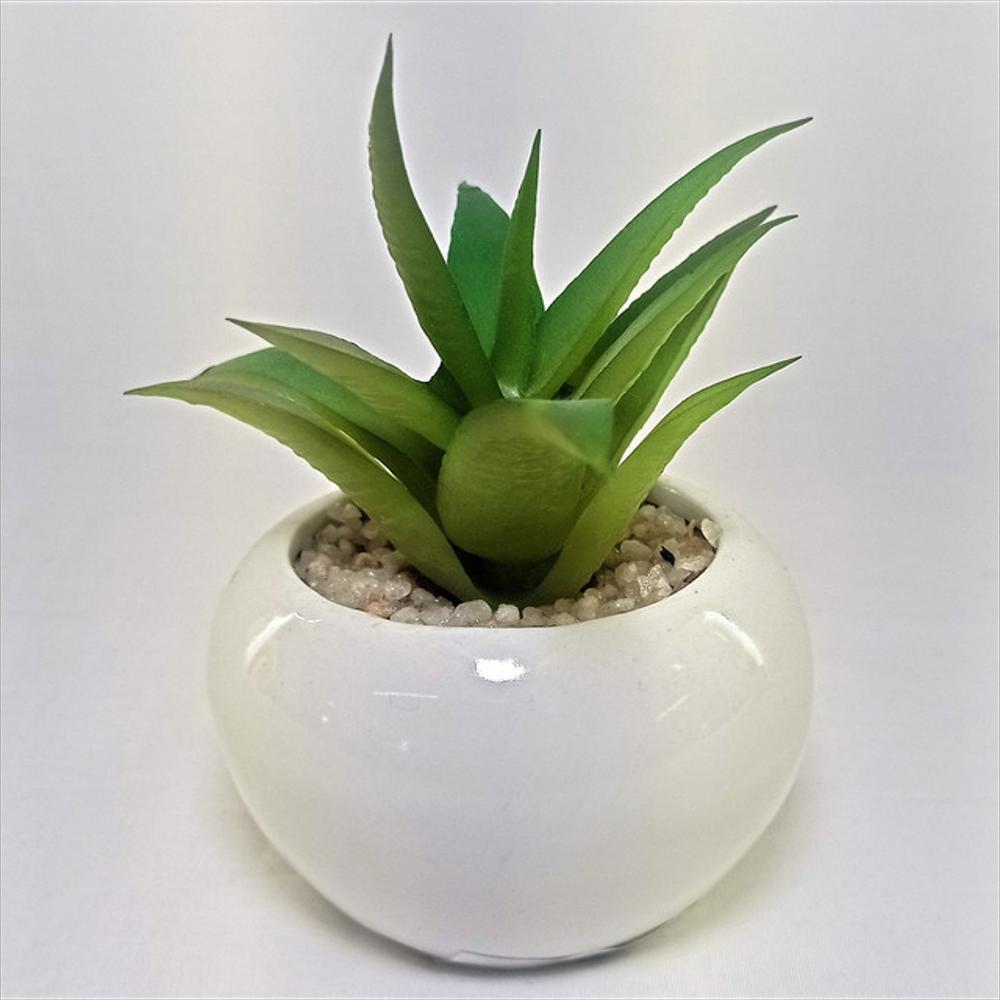 Materita De Ceramica Con Suculenta De Plástico img #4