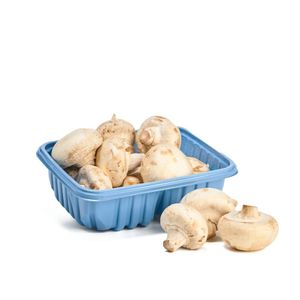 Champiñon Entero 500 G B.E 500 gr